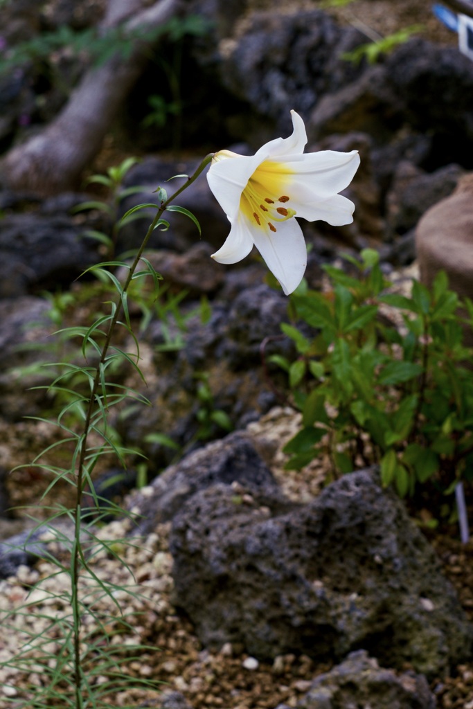 P1040675