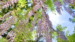 P1070887