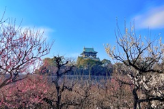 IMG_4055 (1)