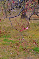 P1050649