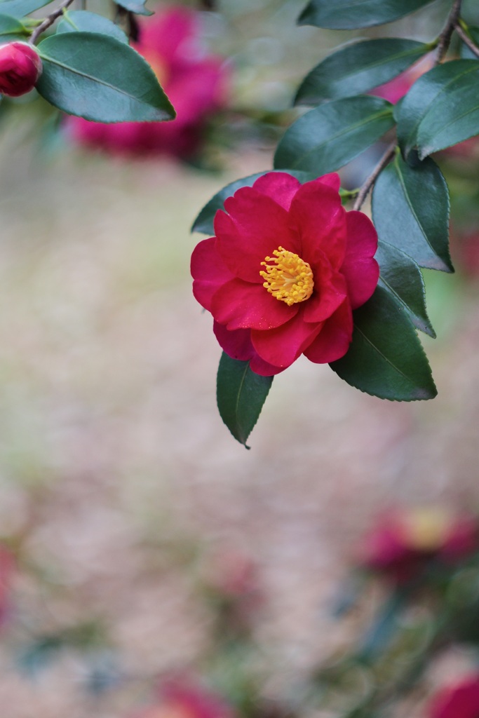 P1050438