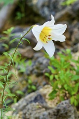 P1040674