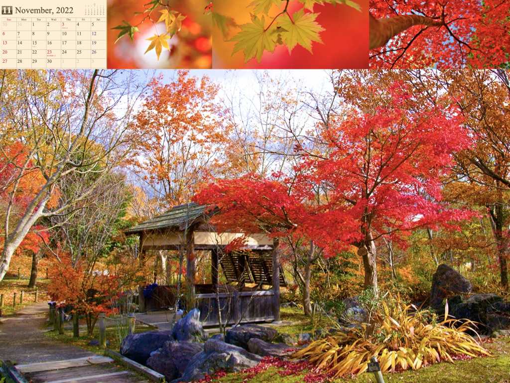 2022calendar.002