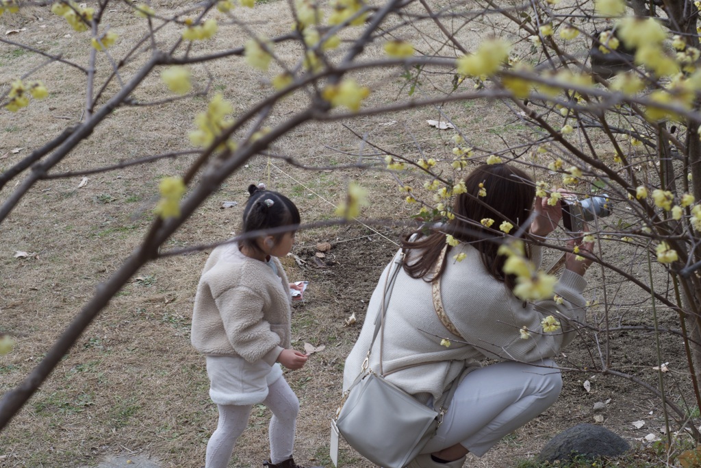 0206服部緑地植物園