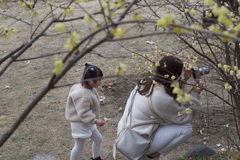 0206服部緑地植物園