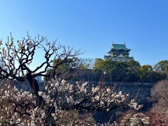 IMG_4040