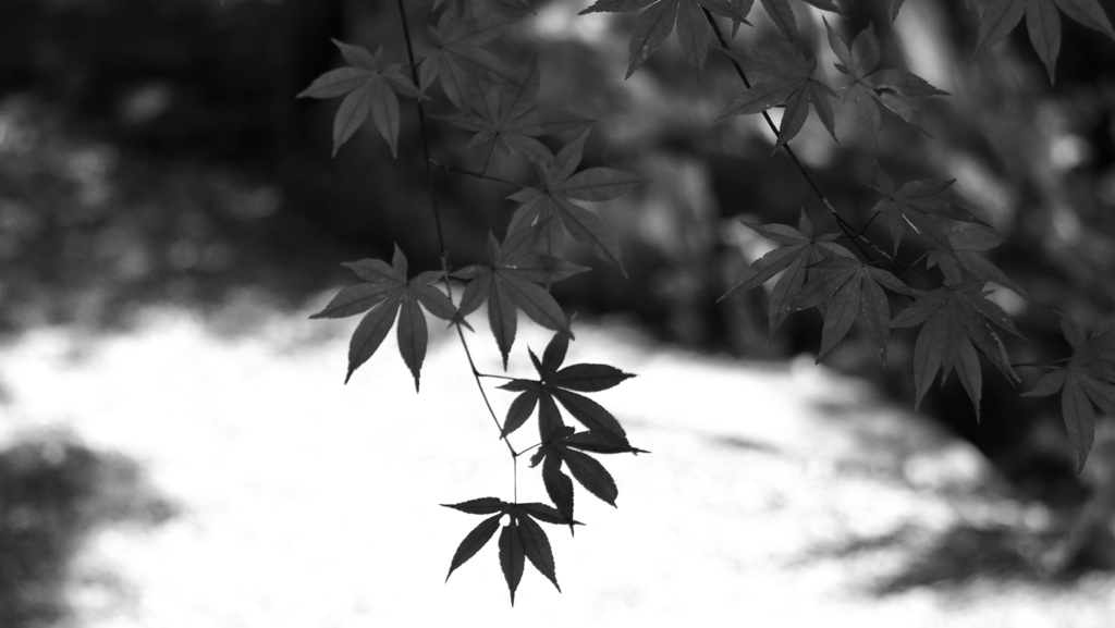 P1080632