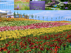 2022calendar2.013