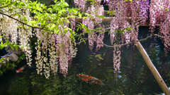 P1080008