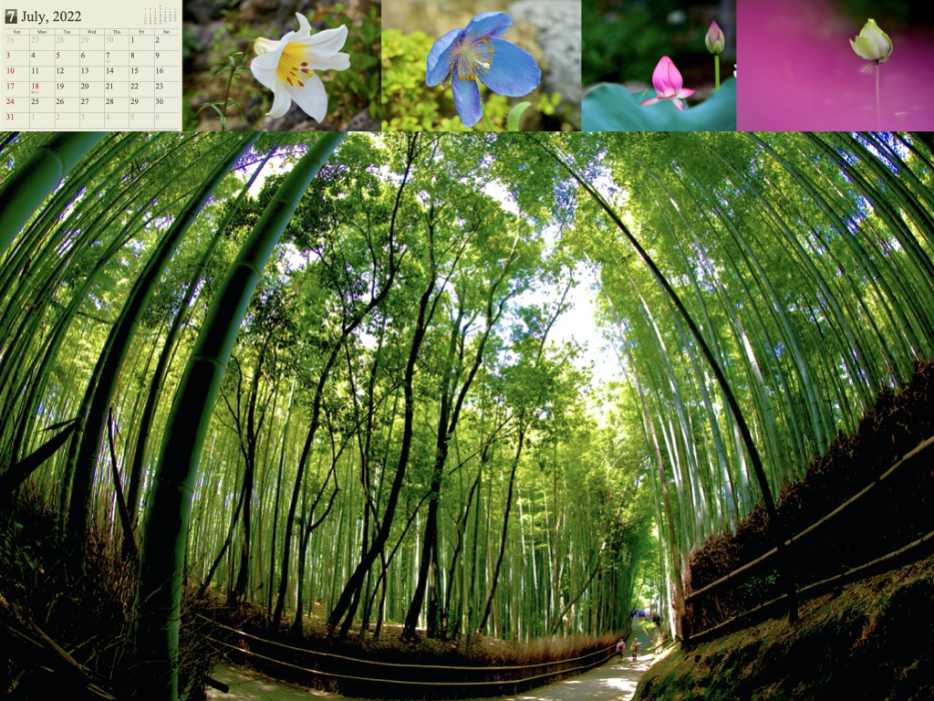 2022calendar2.015