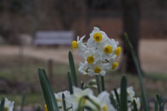 P1050594