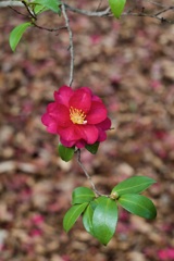 P1050408