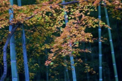 P1050078