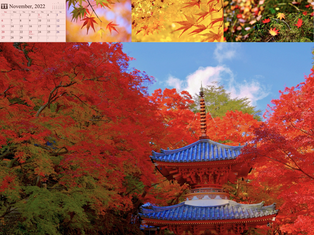 2022calendar.001