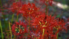 P1090731