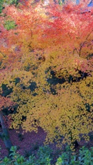 P1110702