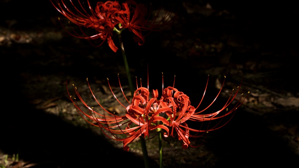 P1090766