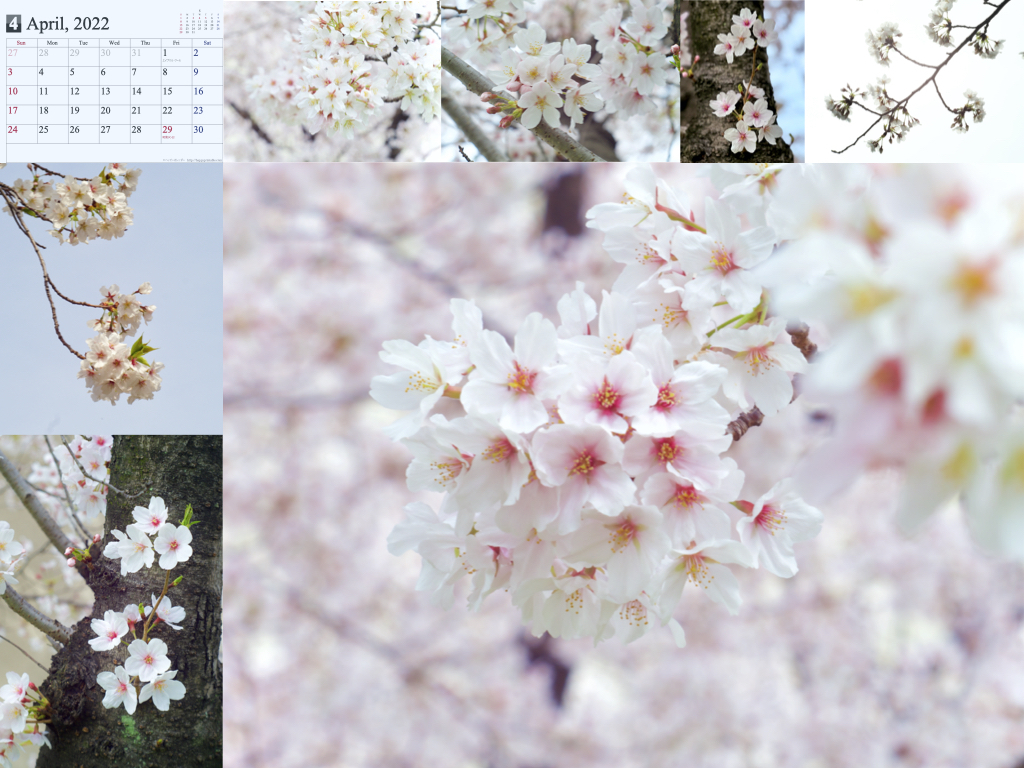 2022calendar2.008