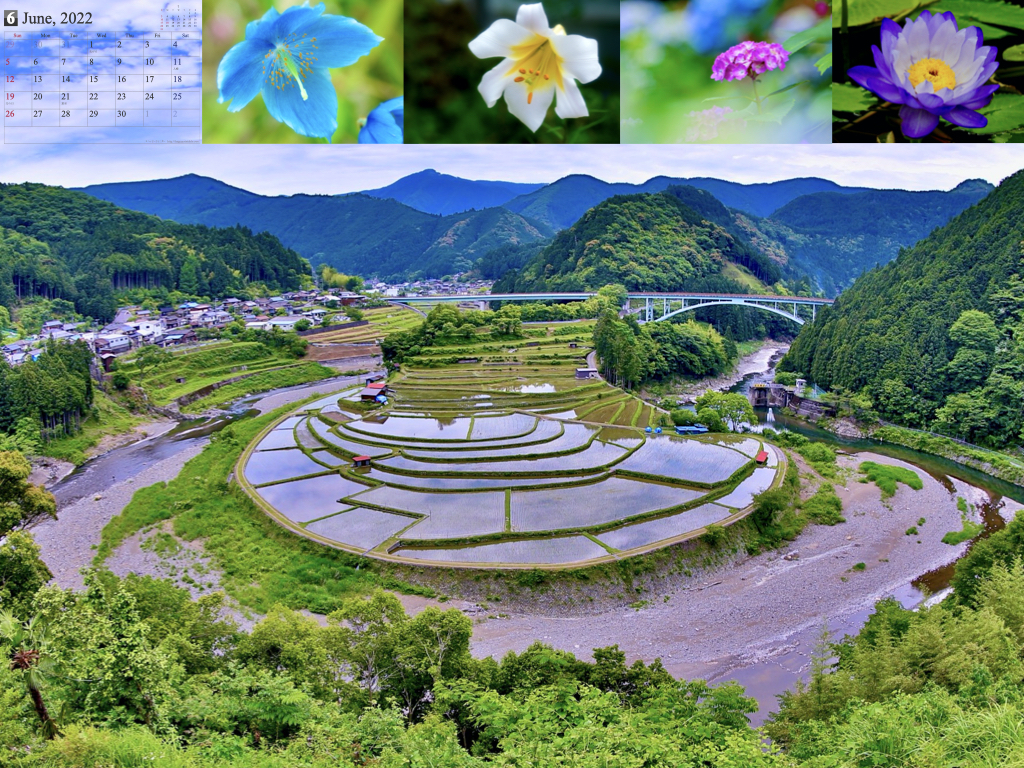 2022calendar2.012