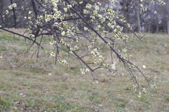 P1050638