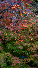 P1100289