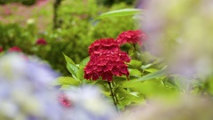 P1080871