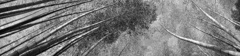 P1080715