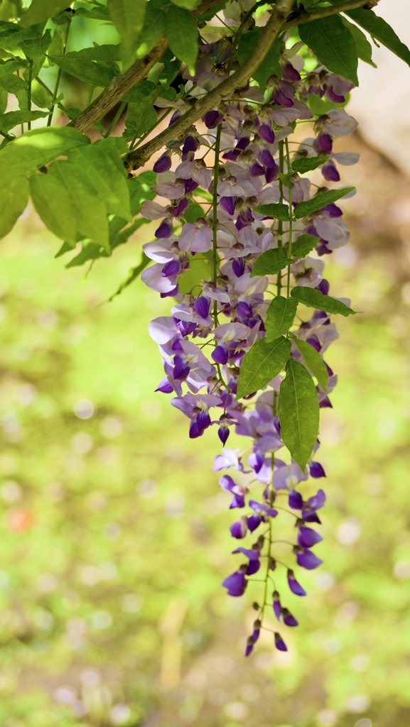 P1070807