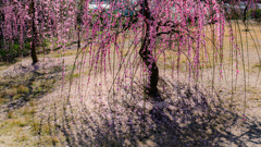 P1130286