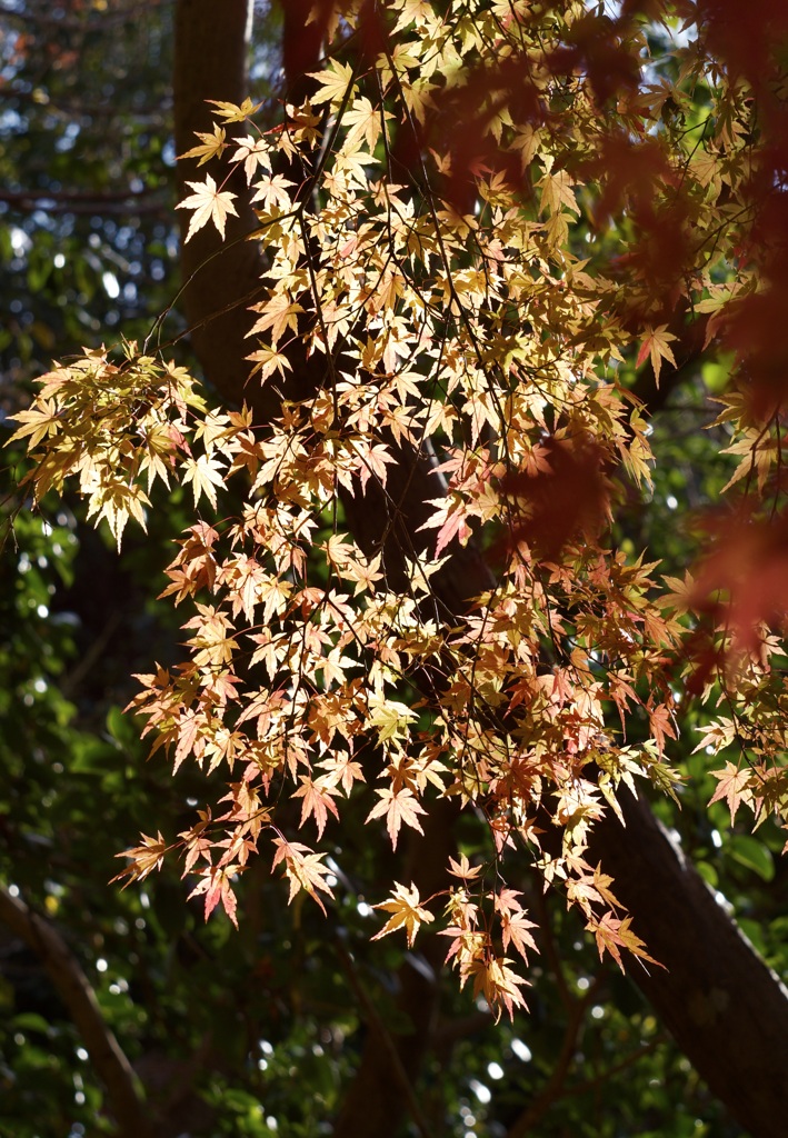 P1040361