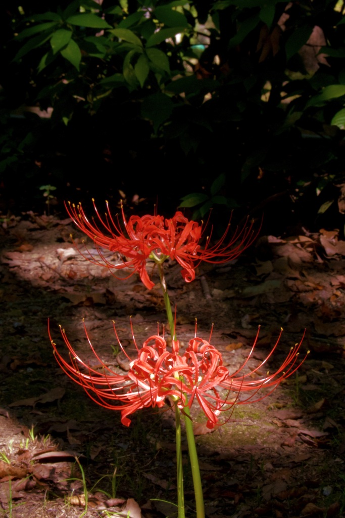 P1090768