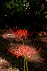 P1090768