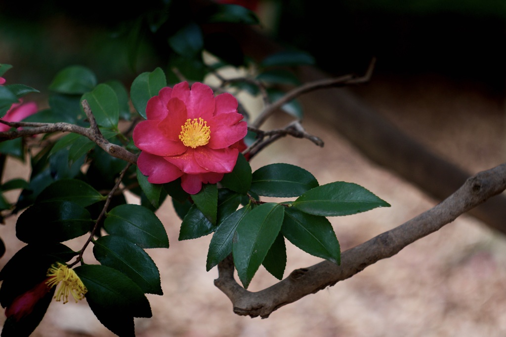 P1050414