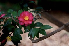 P1050414