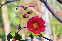 P1050386
