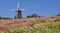 P1090881