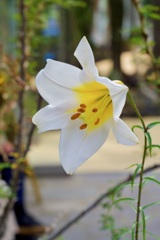 P1040640