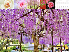 2022calendar2.010