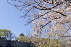 P1060446