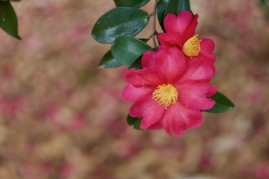 P1050412
