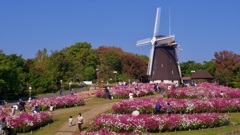 P1090911