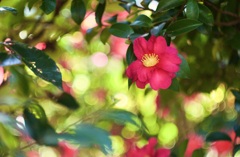P1050333