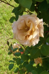 P1080159