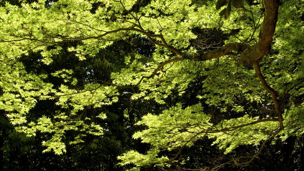 P1070738