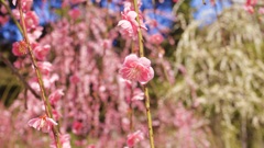 P1130231