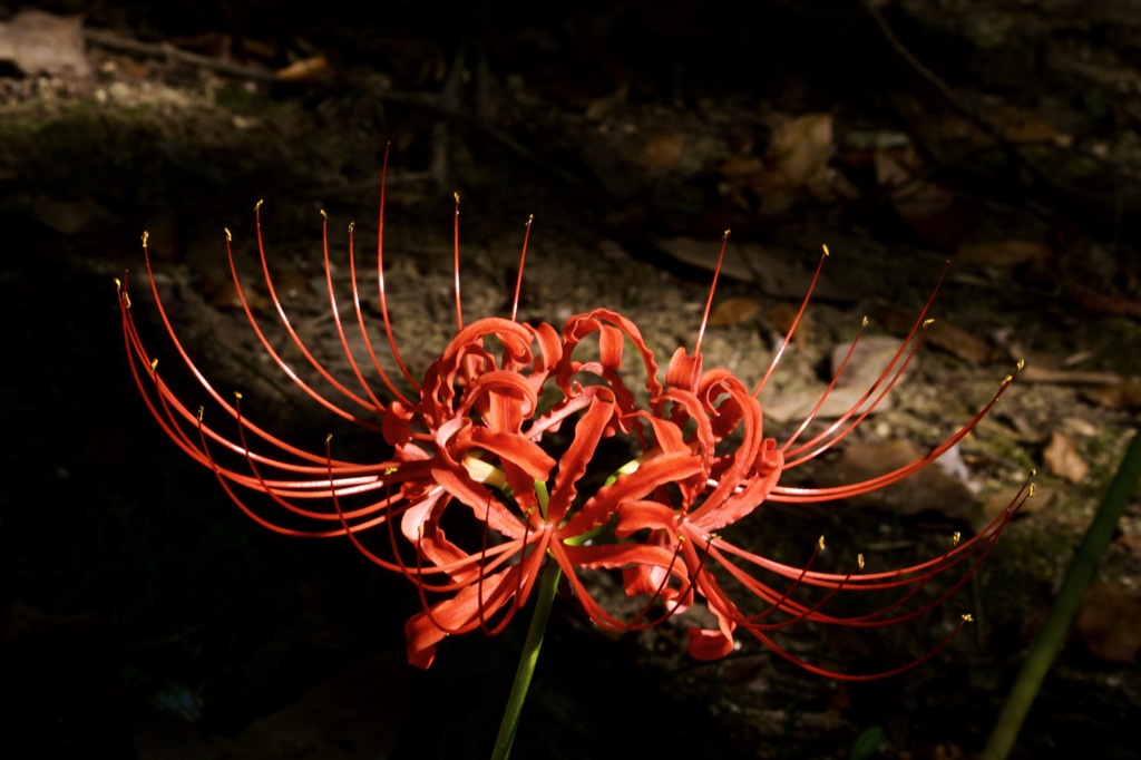 P1090764