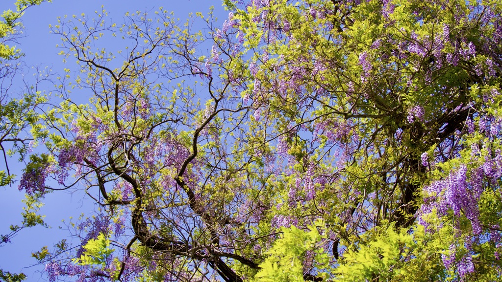 P1070801
