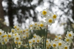 P1050555