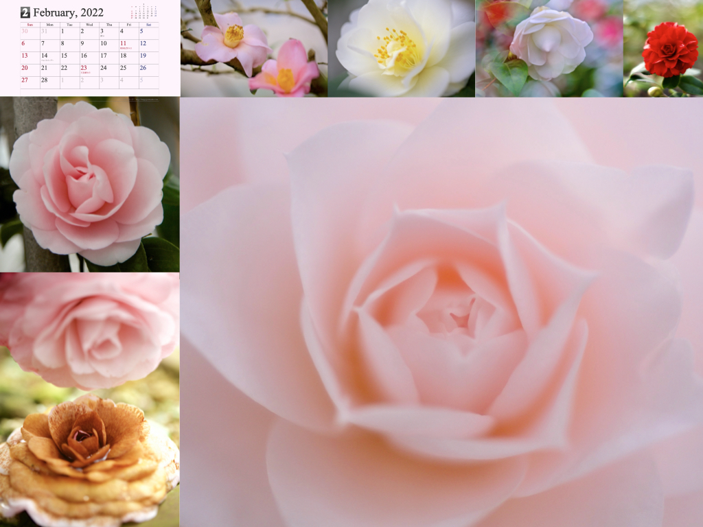 2022calendar2.004