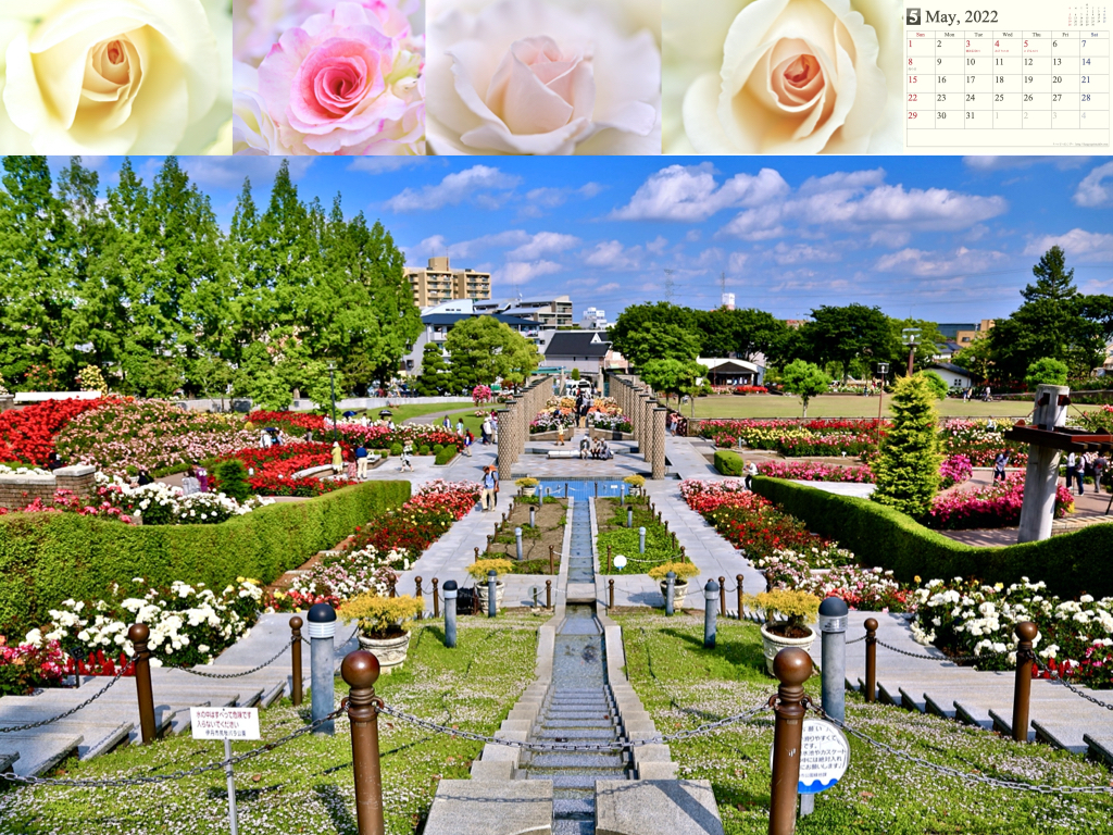 2022calendar2.009